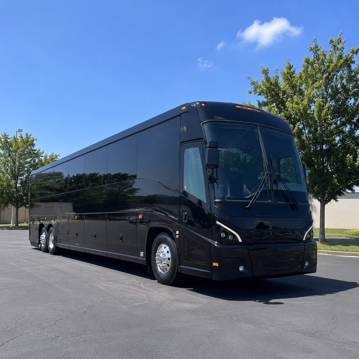 long distance bus rentals to los angeles san diego and rocky point from glendale